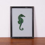 seahorse-picture-3