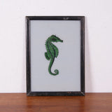 seahorse-picture-3