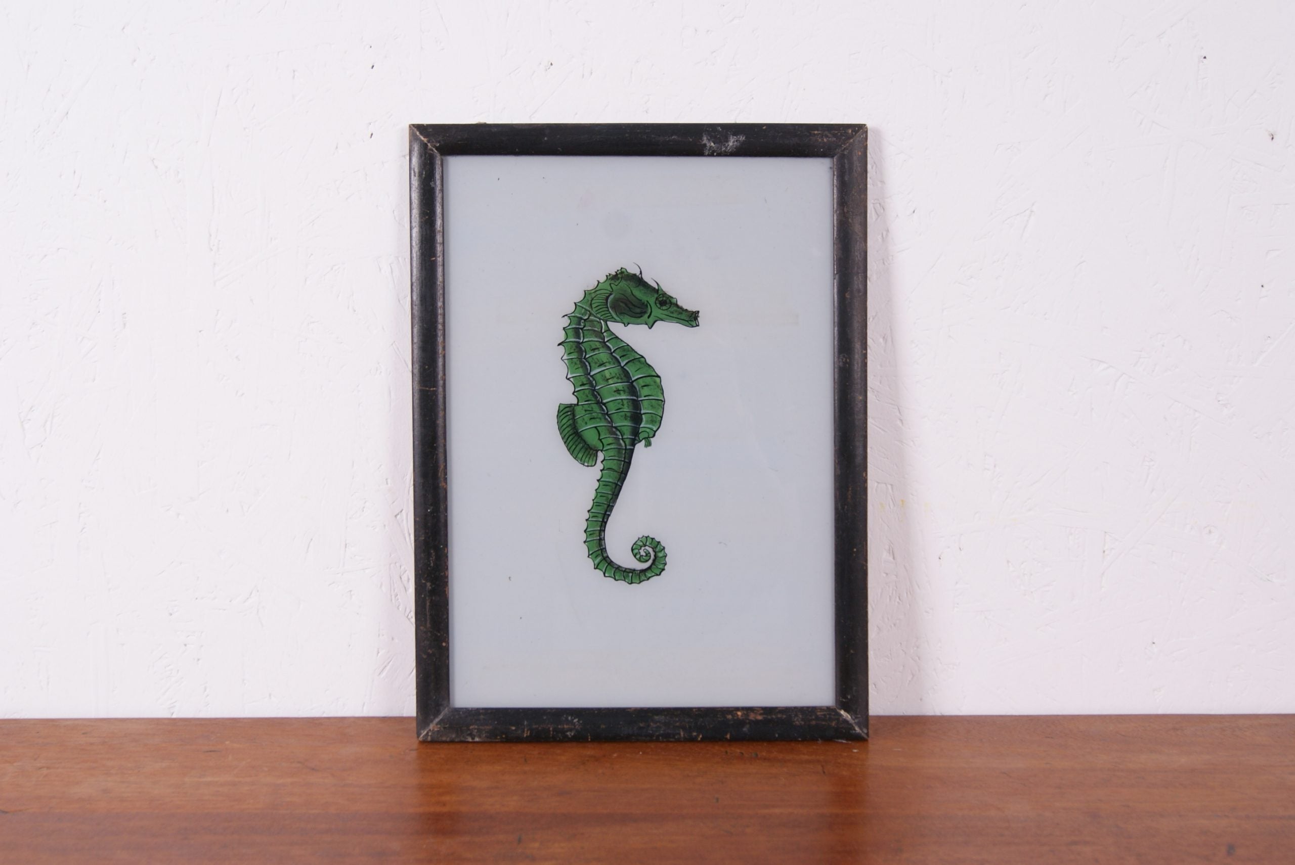 seahorse-picture-3