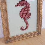 seahorse-picture-3