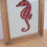 seahorse-picture-3