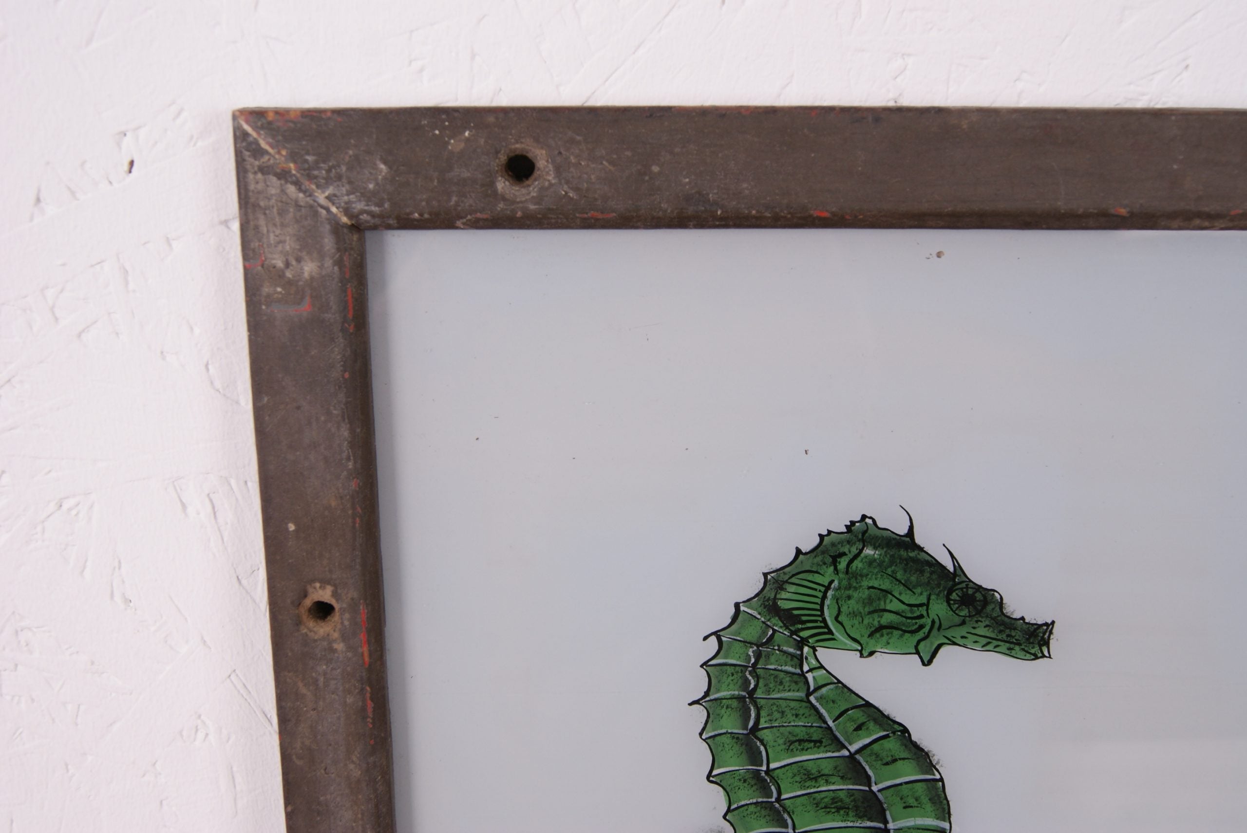 seahorse-picture-4