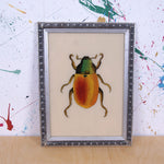 silber-beetle-picture-1