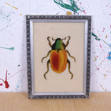 silber-beetle-picture-1