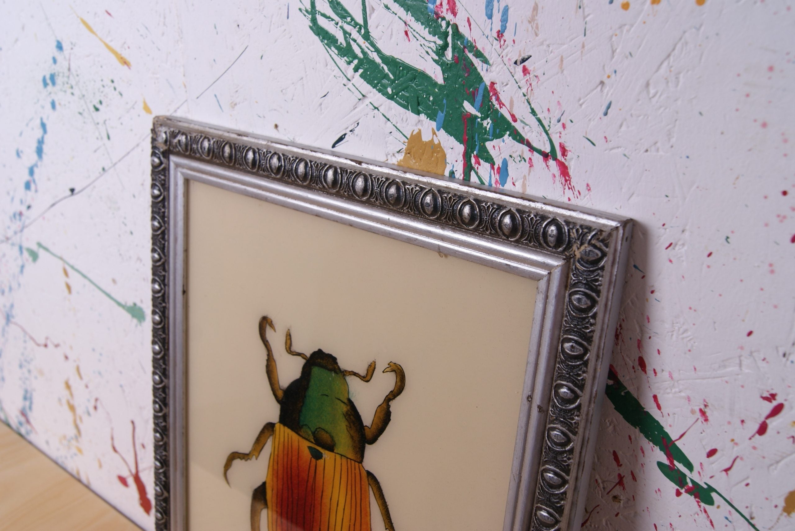 silver-beetle-picture-2