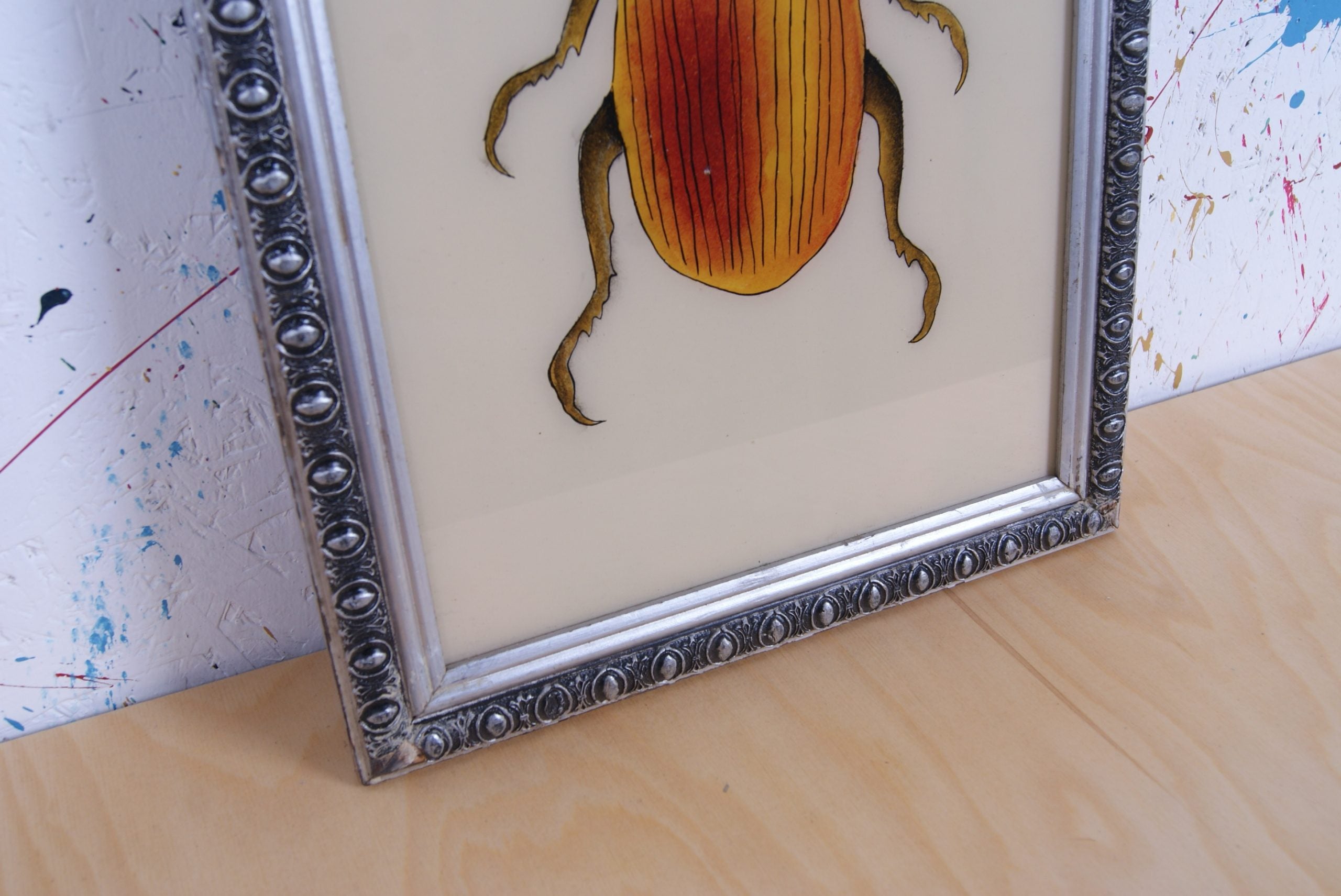 silver-beetle-picture-3