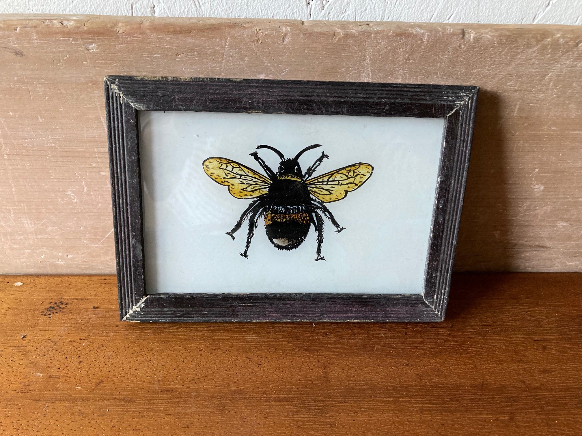 small-bee-picture