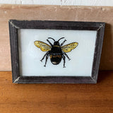 small-bee-picture
