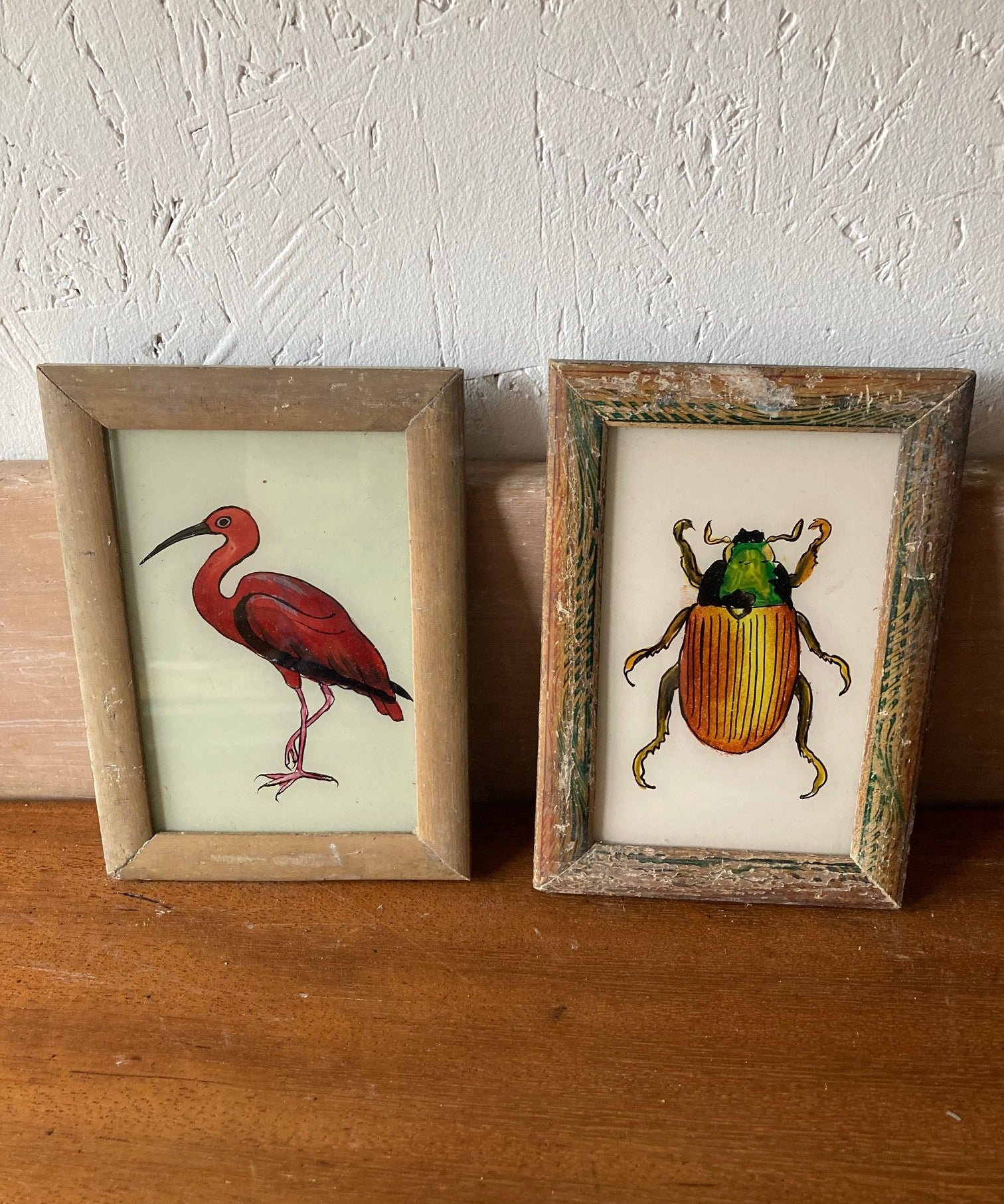 small-beetle-picture-1