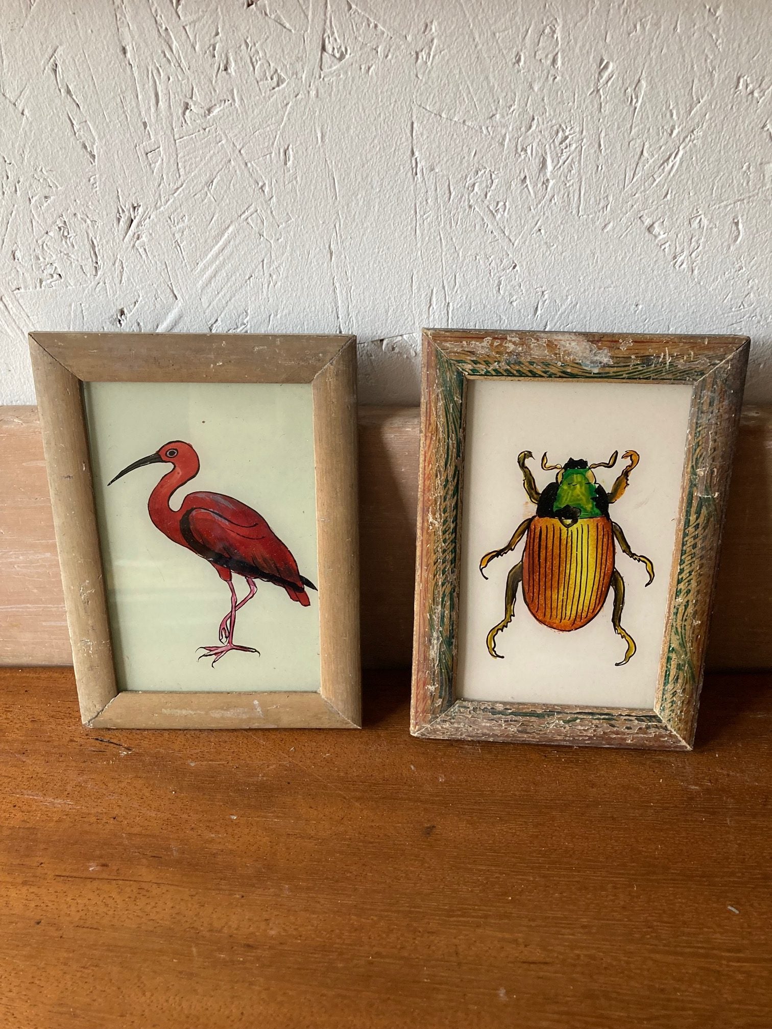 small-beetle-picture-1