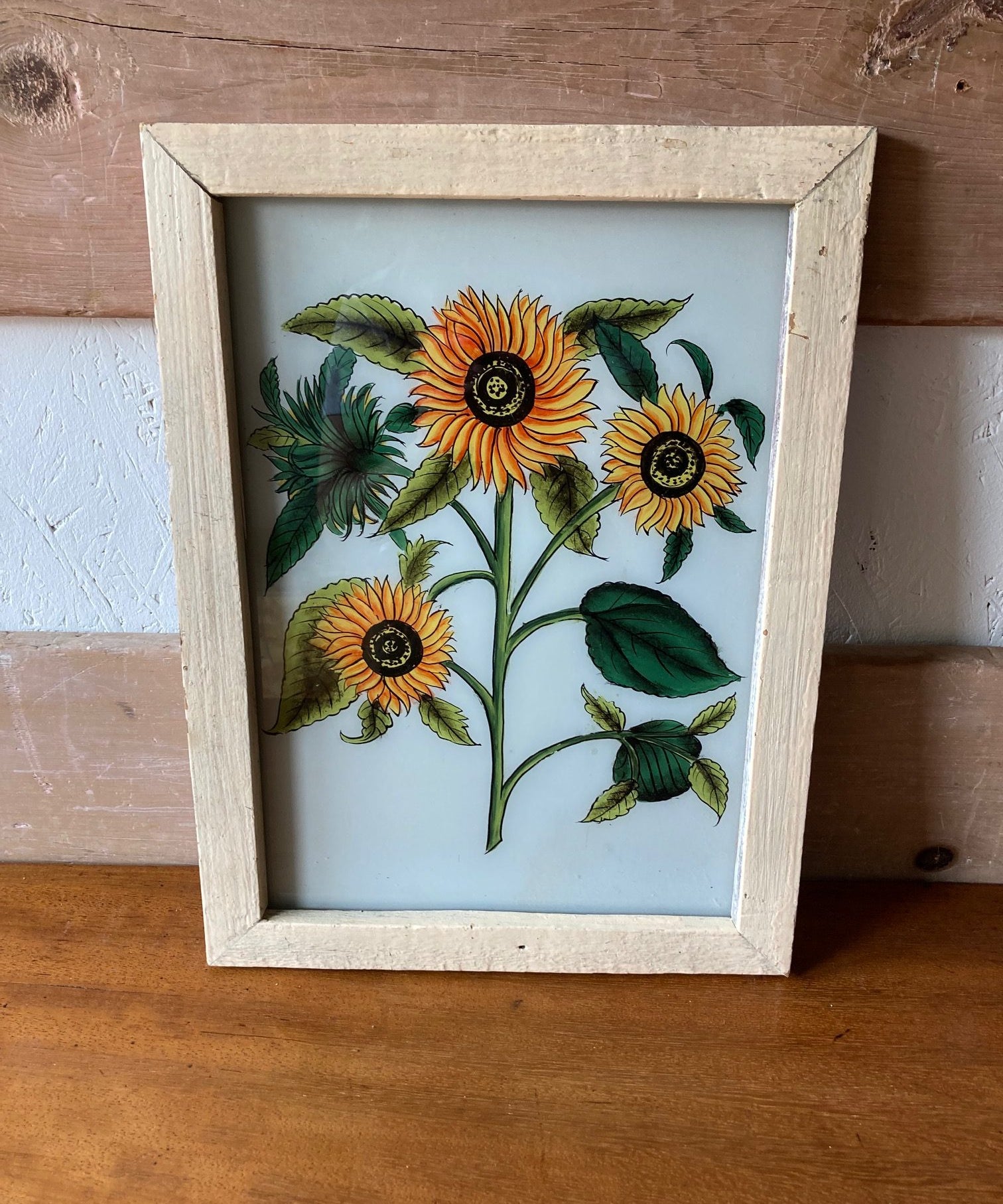 sunflower-picture