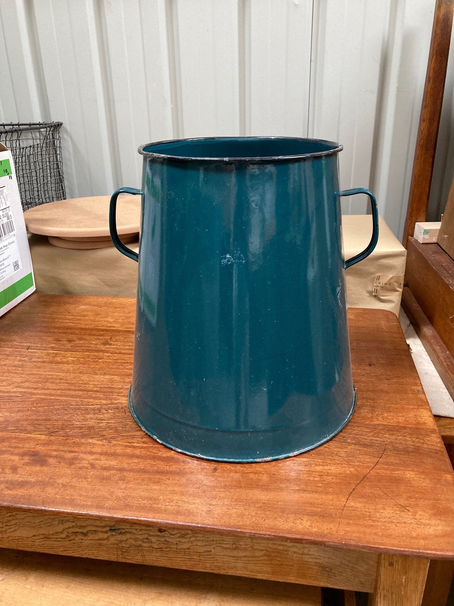 teal-maggie