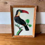 toucan-picture