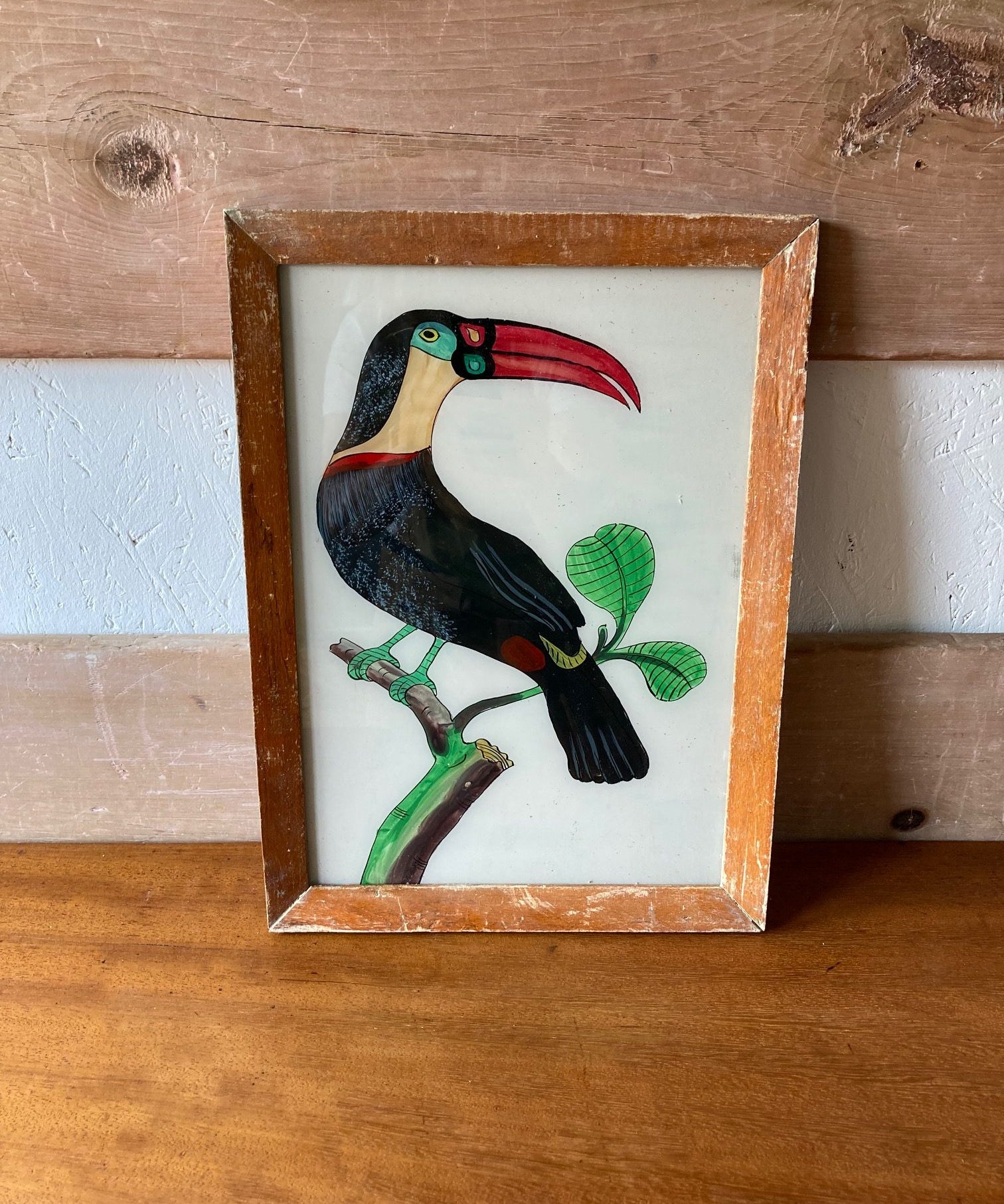 toucan-picture