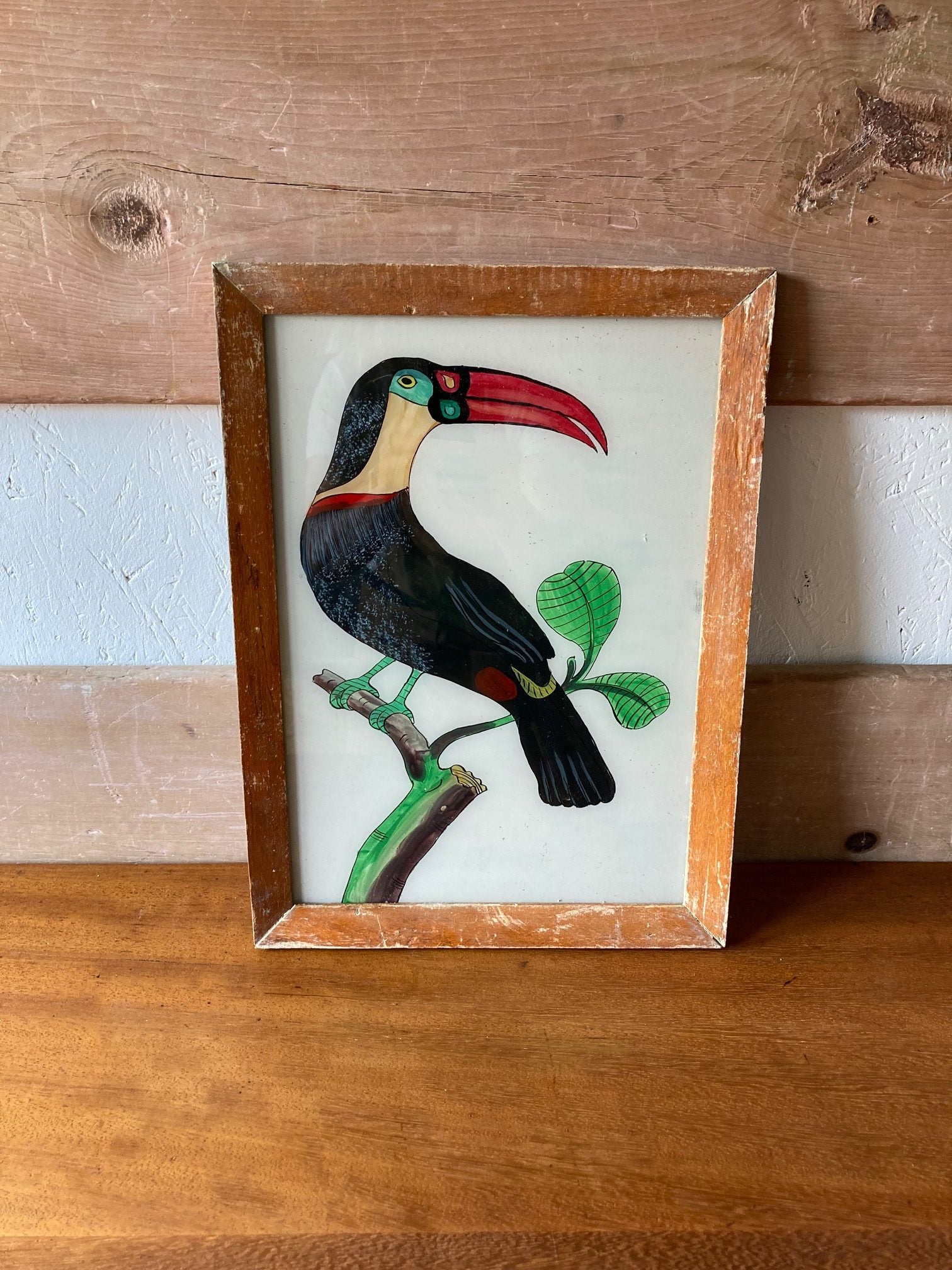 toucan-picture