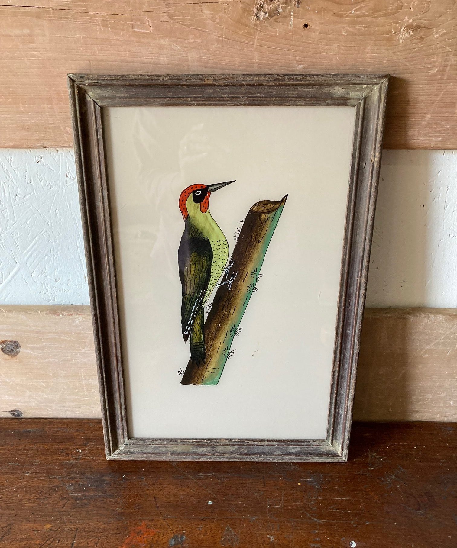 woodpecker-picture