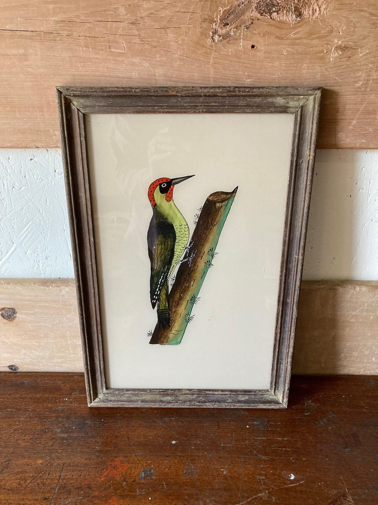 woodpecker-picture