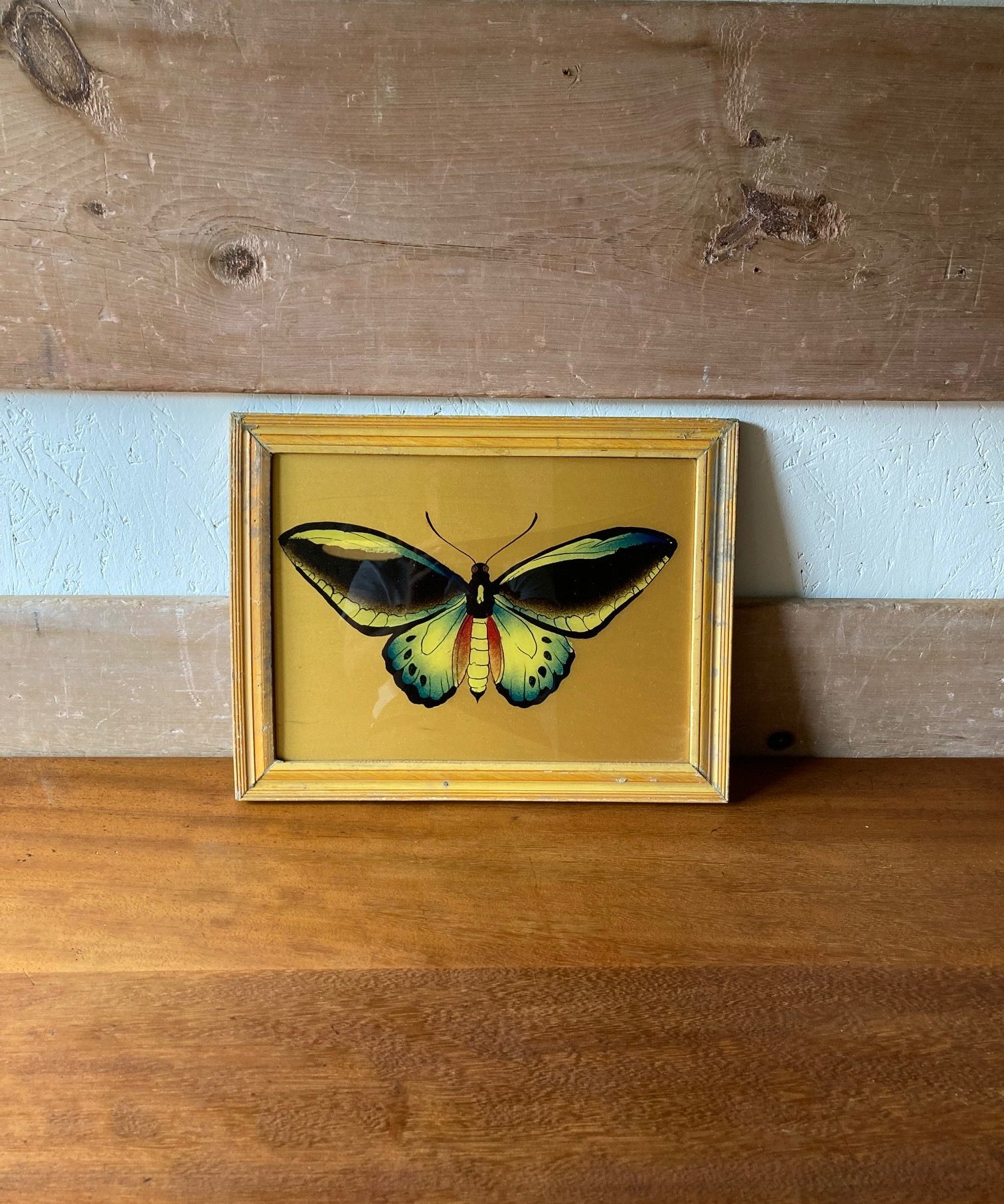 yellow-butterfly-1