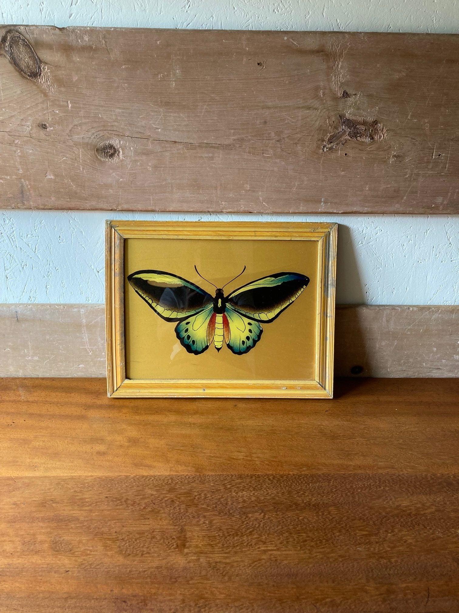 yellow-butterfly-1